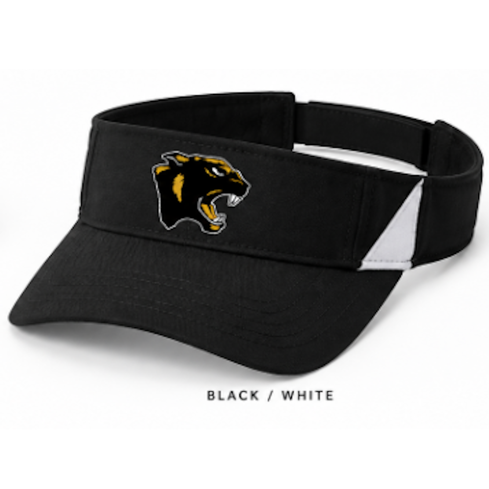 Dry Zone Colorblock Visor