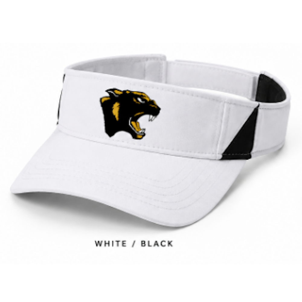 Dry Zone Colorblock Visor